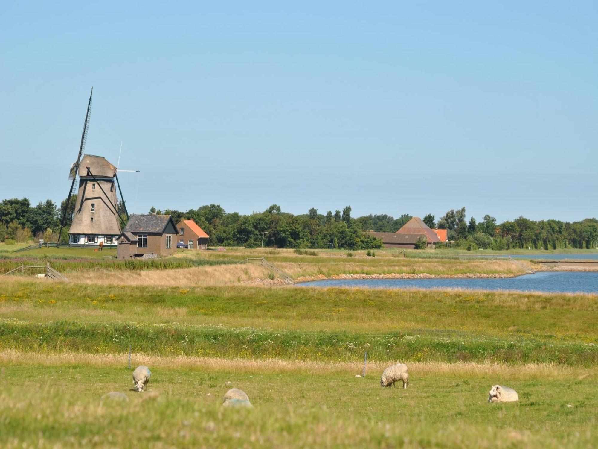 Charming Holiday Home In Texel Near Sea Oost  Exteriér fotografie